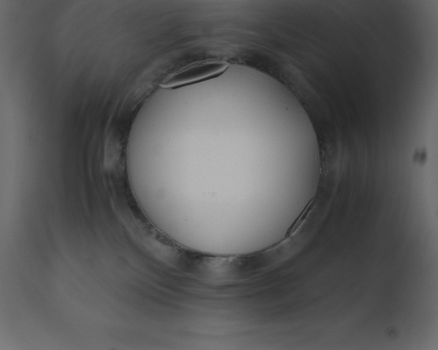 X0000110730136200906261527