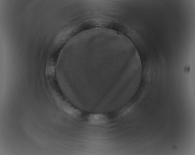 X0000110730137200906261527