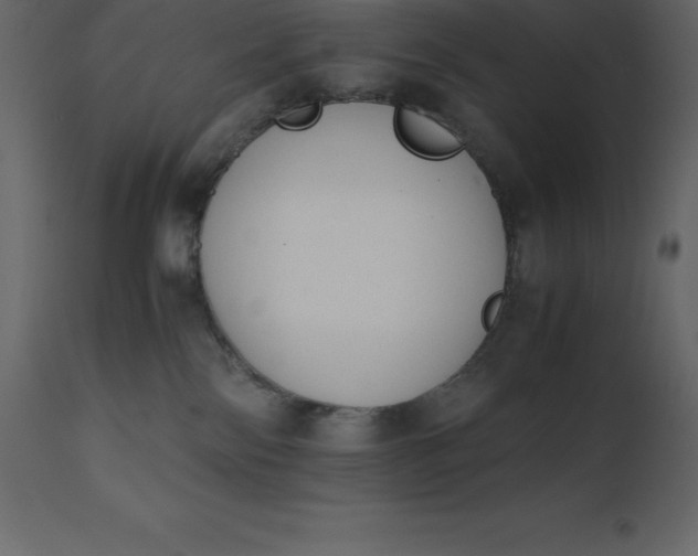 X0000110730138200906261527