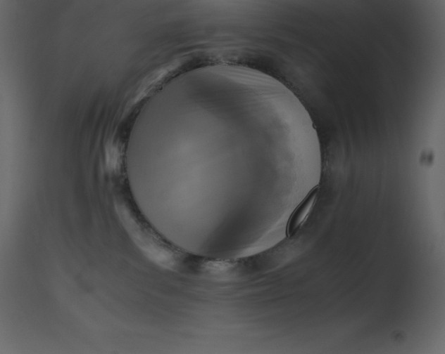 X0000110730139200906261527