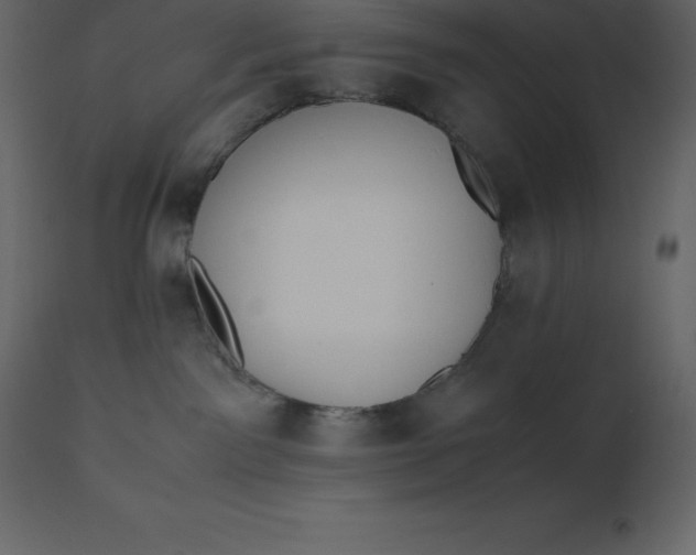 X0000110730141200906261527