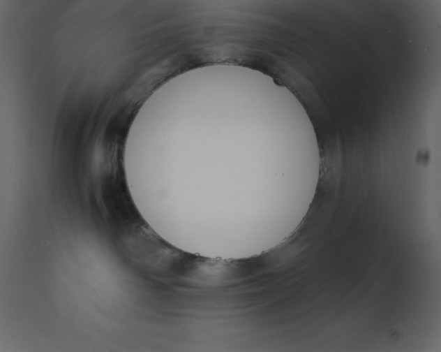 X0000110730142200906261527