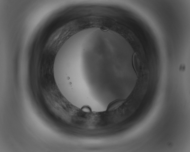 X0000110730143200906261527