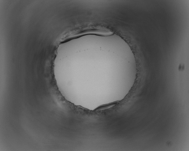 X0000110730144200906261527