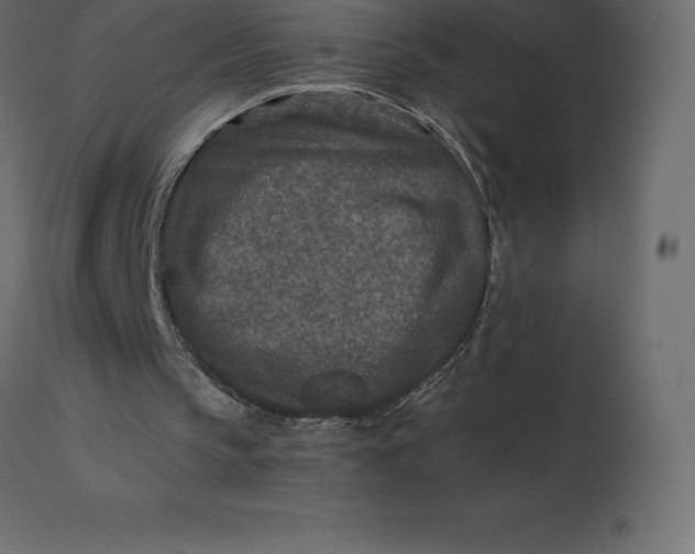 X0000110730145200906261527