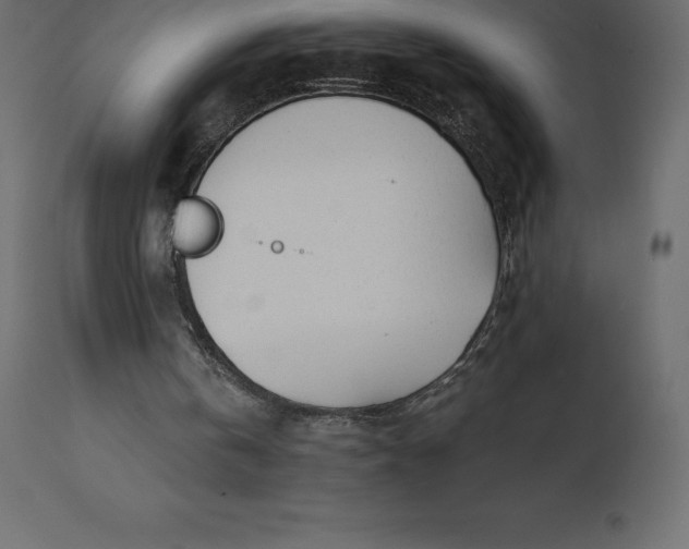 X0000110730146200906261527