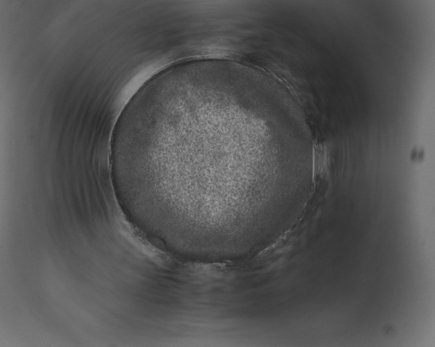 X0000110730147200906261527