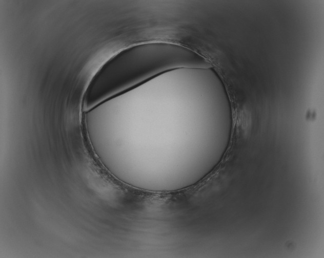 X0000110730148200906261527