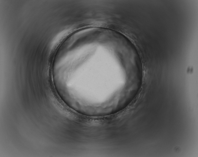 X0000110730149200906261527