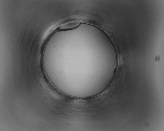 X0000110730150200906261527