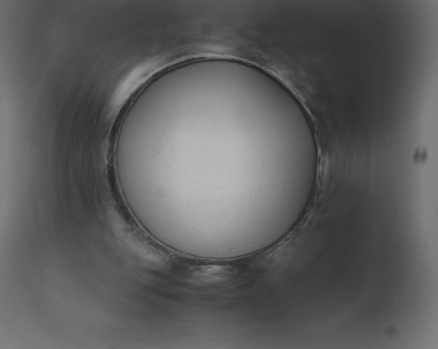 X0000110730151200906261527