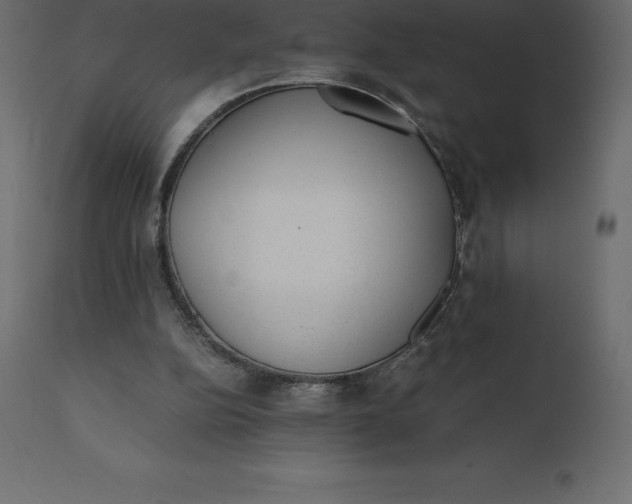 X0000110730152200906261527