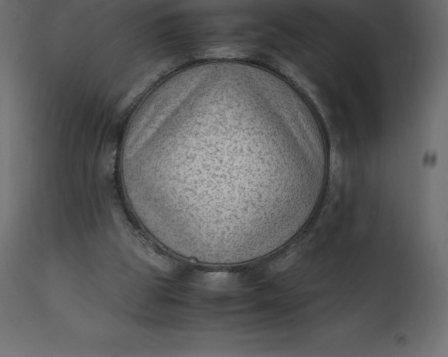 X0000110730153200906261527