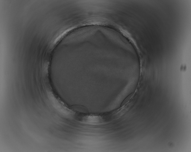 X0000110730154200906261527