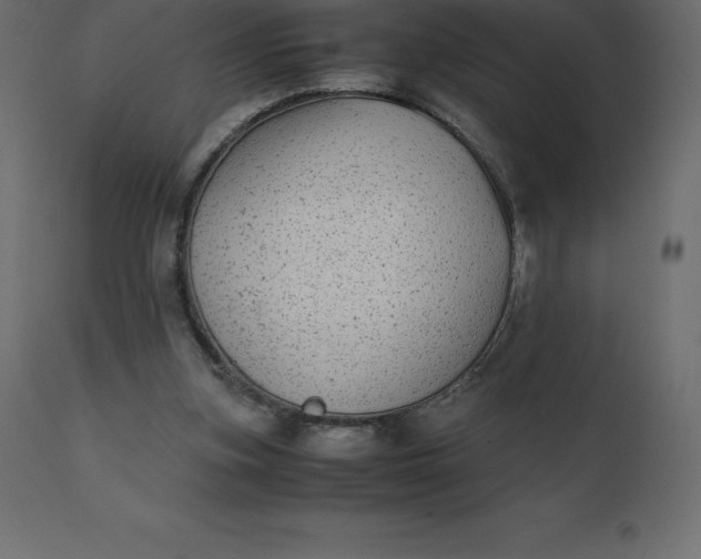 X0000110730155200906261527