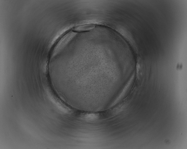 X0000110730156200906261527