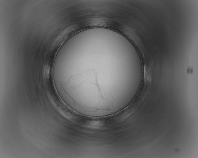 X0000110730157200906261527