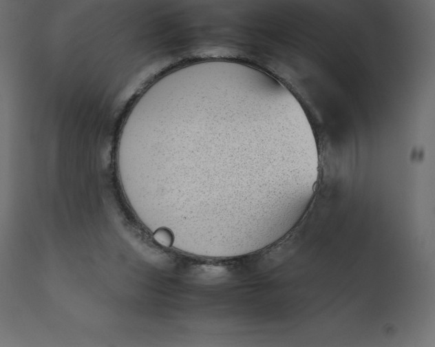 X0000110730159200906261527