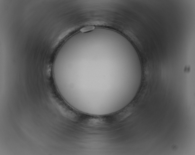 X0000110730160200906261527