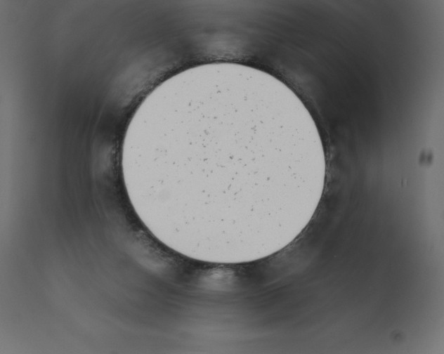 X0000110730162200906261527