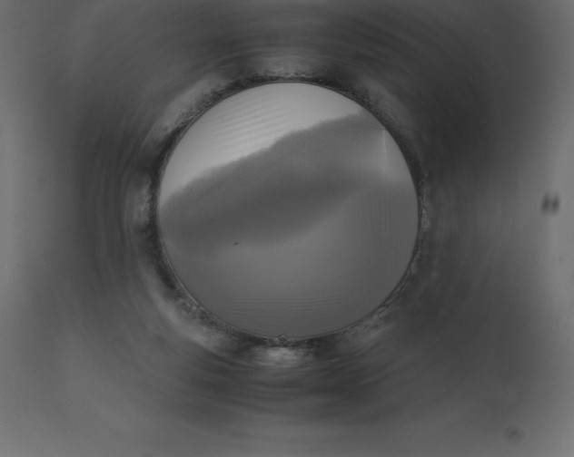 X0000110730163200906261527