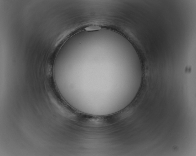 X0000110730164200906261527