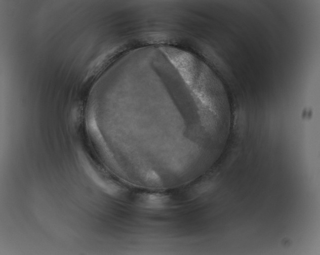 X0000110730165200906261527