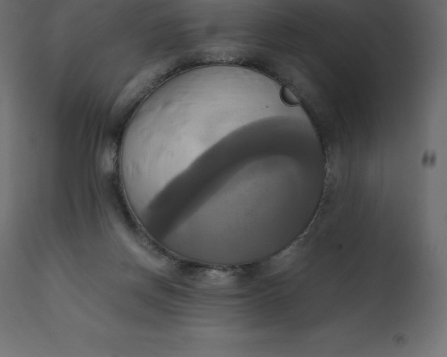 X0000110730166200906261527