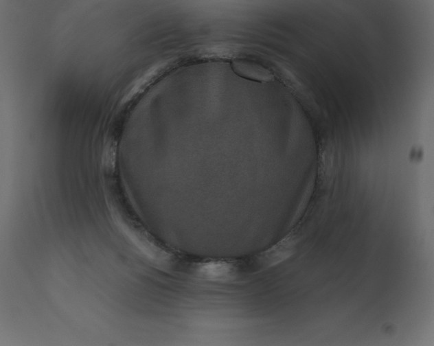 X0000110730168200906261527