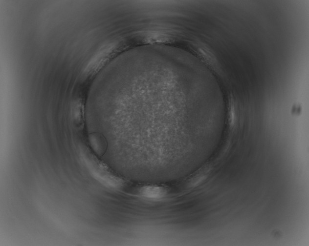 X0000110730169200906261527