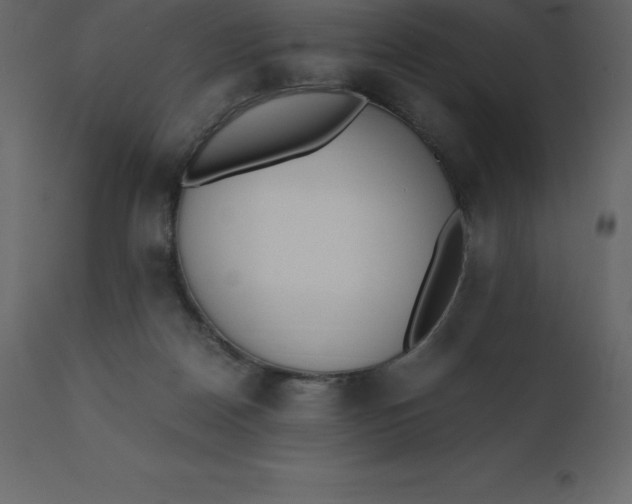 X0000110730170200906261527