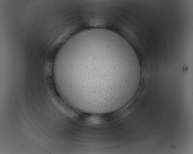 X0000110730171200906261527