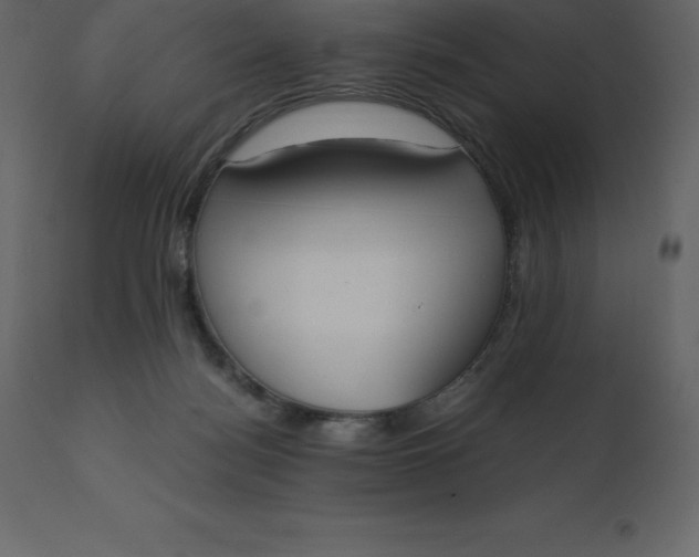 X0000110730172200906261527