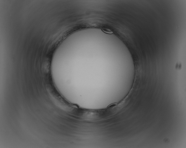 X0000110730174200906261527