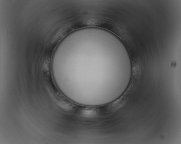 X0000110730175200906261527