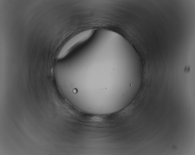 X0000110730176200906261527