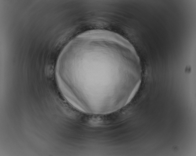 X0000110730177200906261527