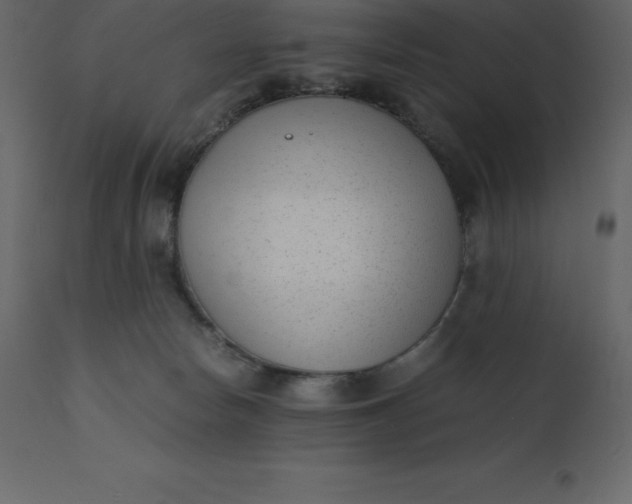 X0000110730178200906261527