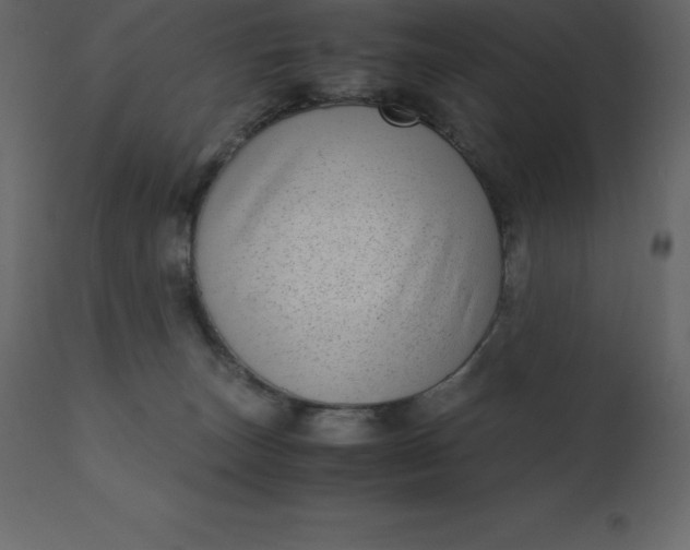 X0000110730179200906261527