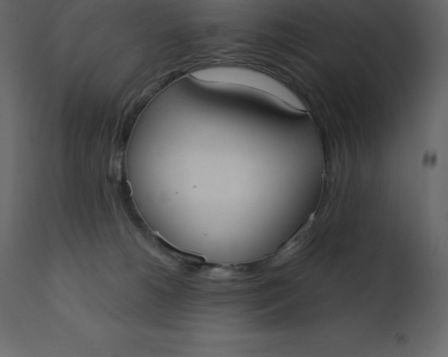 X0000110730180200906261527