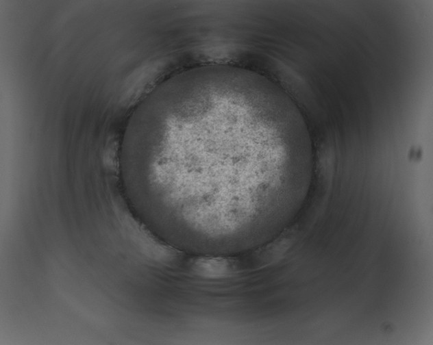 X0000110730181200906261527