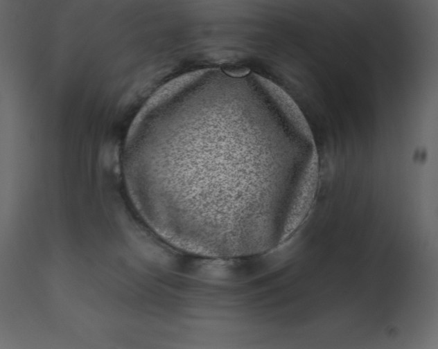 X0000110730182200906261527