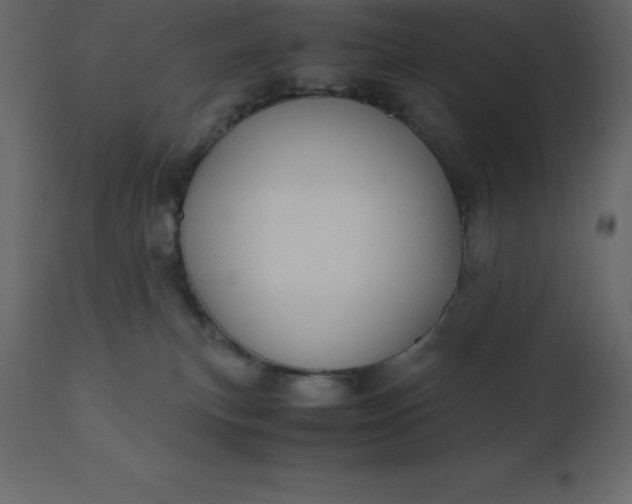 X0000110730183200906261527