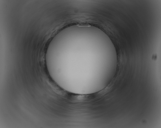 X0000110730184200906261527