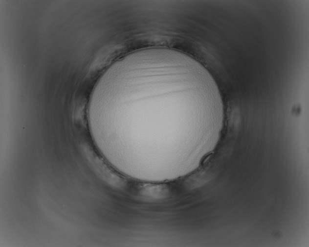 X0000110730185200906261527