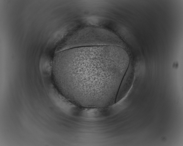 X0000110730186200906261527