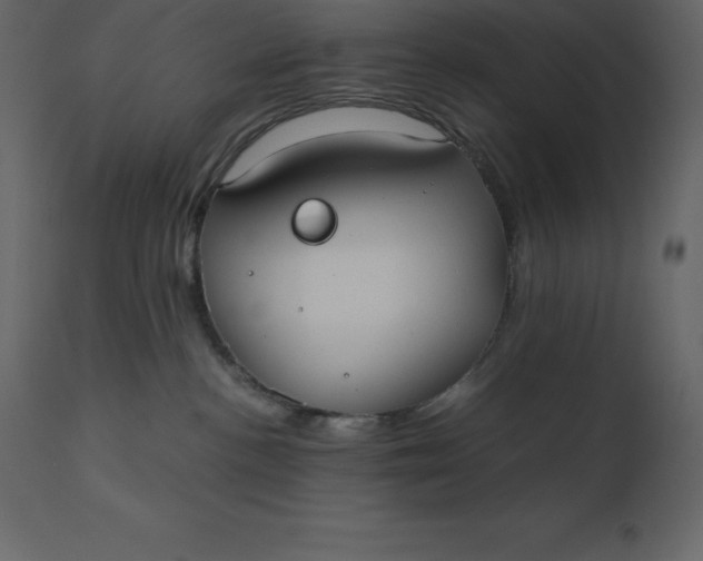 X0000110730188200906261527