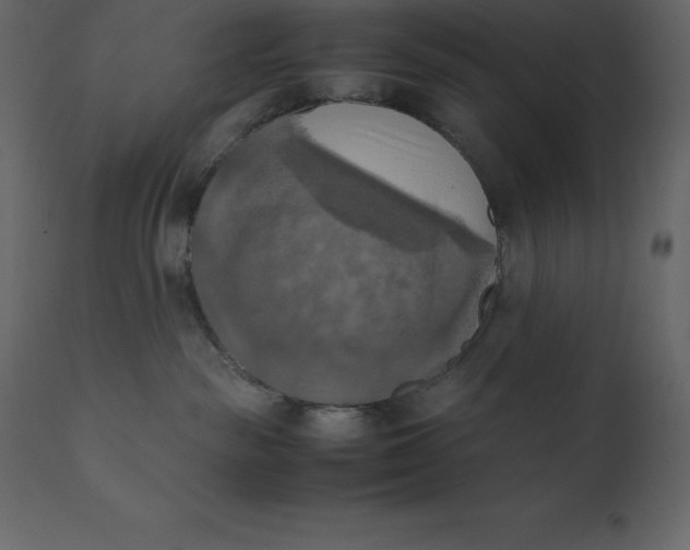 X0000110730189200906261527