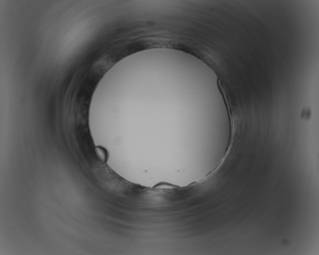 X0000110730190200906261527