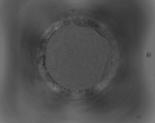 X0000110730192200906261527